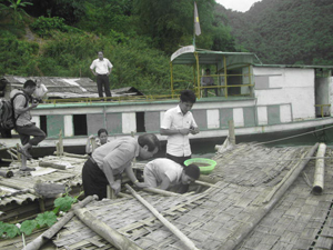 Đoàn công tác Trung ương Hội nông dân Việt Nam kiểm tra lồng cá của hộ hội viên xóm Vôi, xã Thái Thịnh. 

